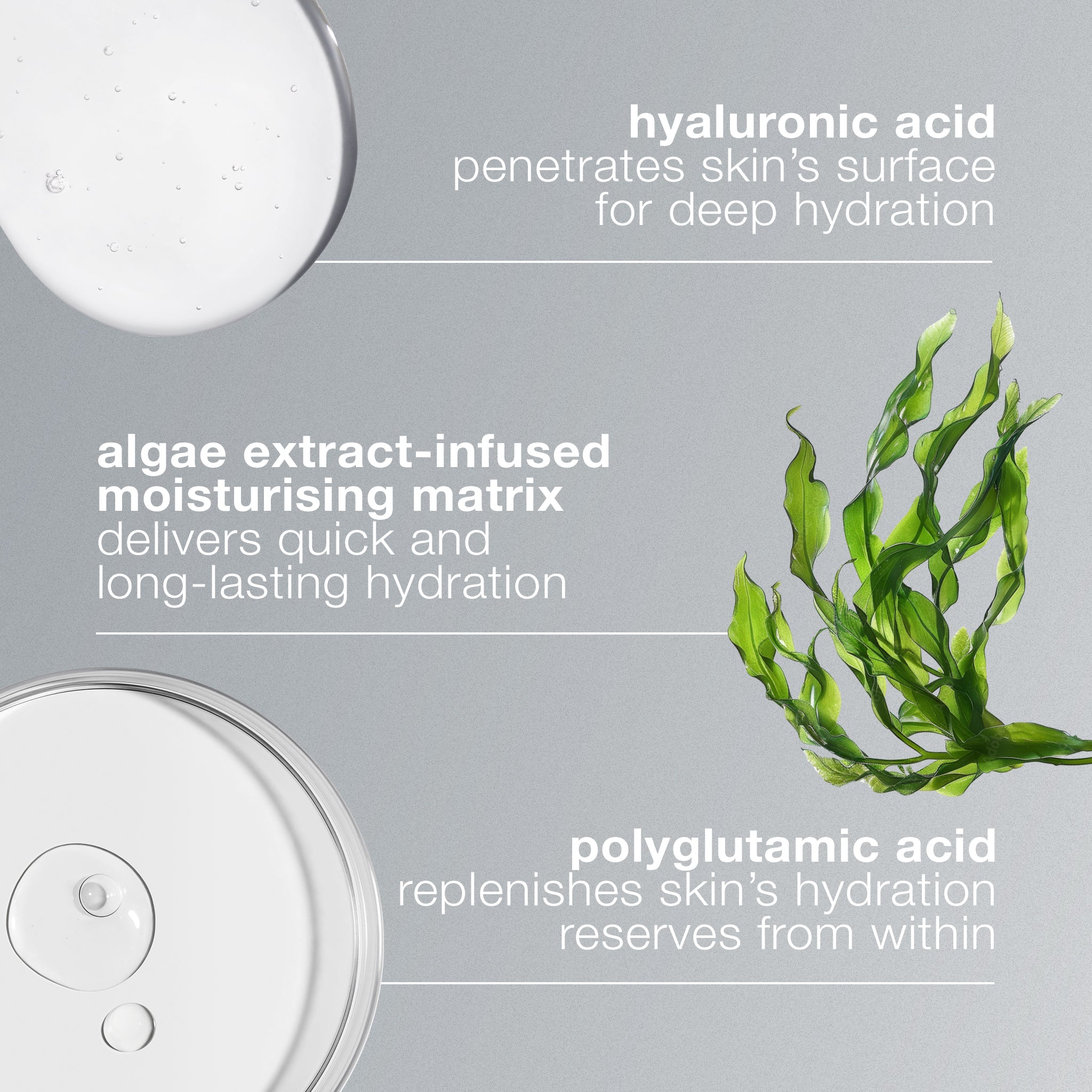 Circular Hydration Serum With Hyaluronic Acid - Image 3