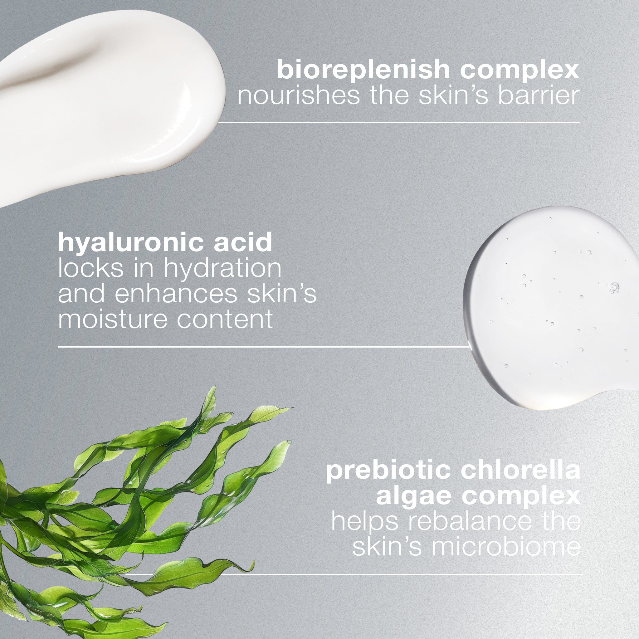 Intensive Moisture Balance Moisturiser - Image 3