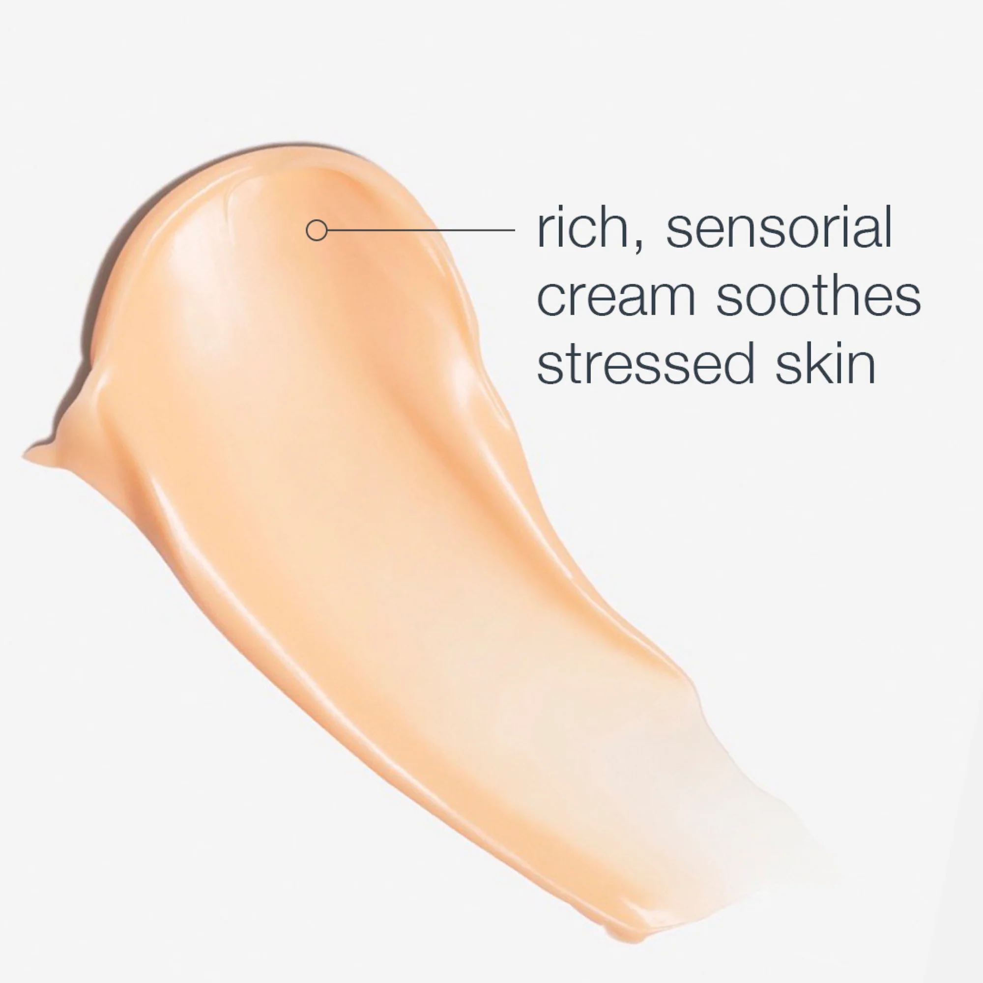 multivitamin power recovery cream - Image 5